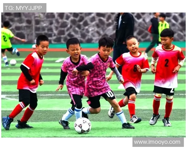 江门足球明星赛精彩对决比分揭晓球迷热情高涨期待下一场赛事